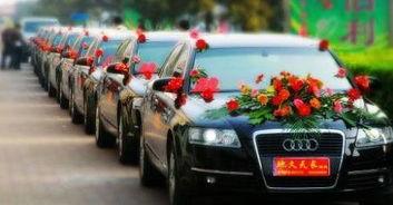 花车owl最新爆料